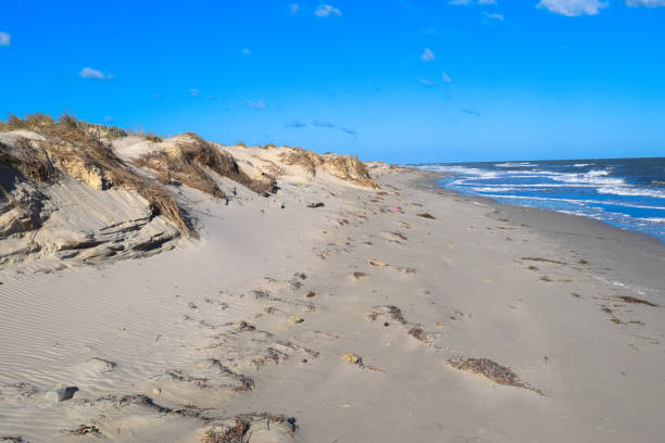 istock Wild beach in Tunisia. Djerba island 670825552