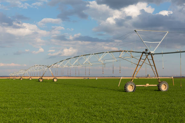 istock Field irrigated by a pivot sprinkler system 670826130