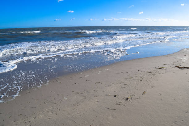 istock Wild beach in Tunisia. Djerba island 670828572