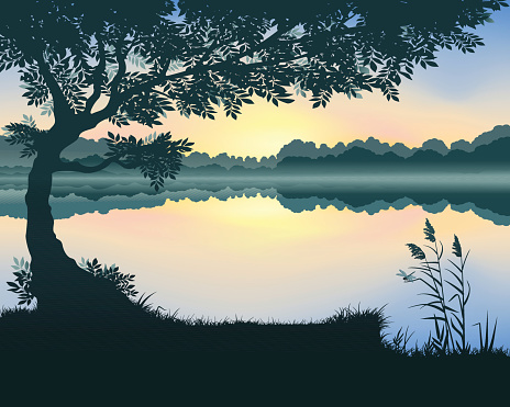 Vector illustration of landscape with a lake at dawn