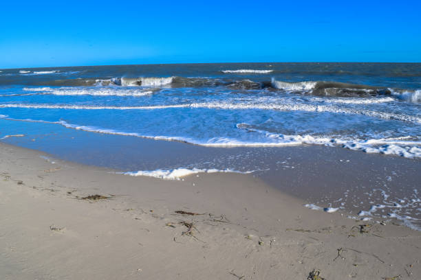 istock Wild beach in Tunisia. Djerba island 670830038