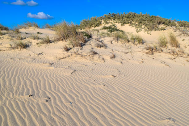 istock Ras El Rmal island of Djerba 670834992