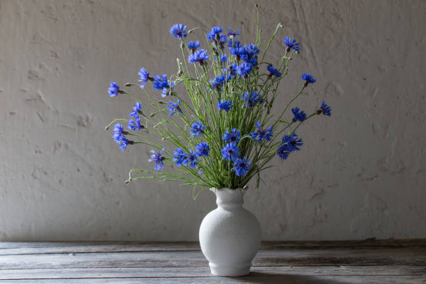 istock Beautiful blue cornflowers in vase 670839748