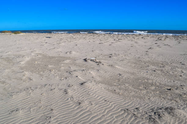 istock Wild beach in Tunisia. Djerba island 670847724