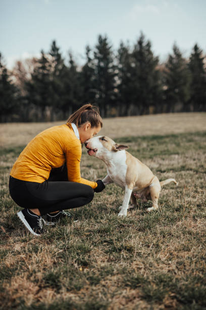 istock Young woman kissing a dog in the muzzle 670850874