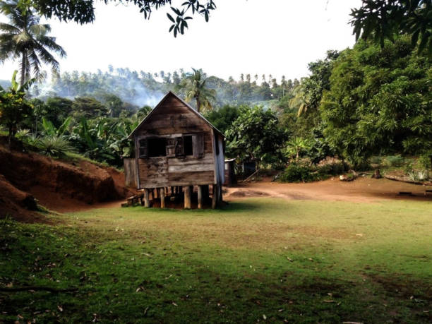 old cabin at salybia dominica