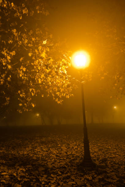 istock Old fashioned lantern at autumn evening in Kalemegdan park, Belgrade 670862334