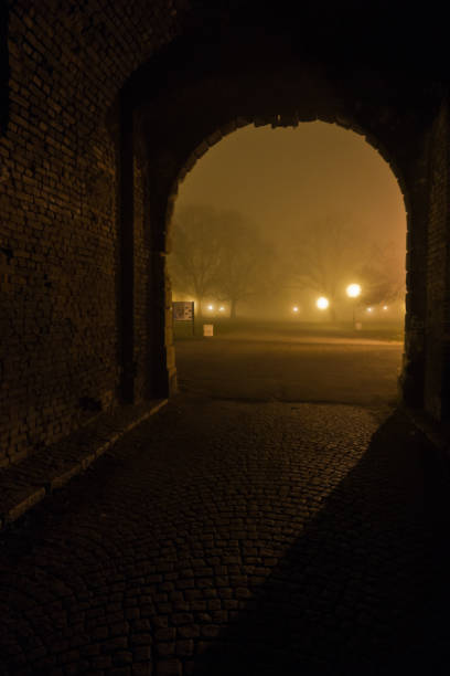 istock Old cobblestone path through gate inside Kalemegdan park at night covered in fog, Belgrade 670862378