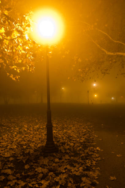 istock Old fashioned lantern at autumn evening in Kalemegdan park, Belgrade 670862584