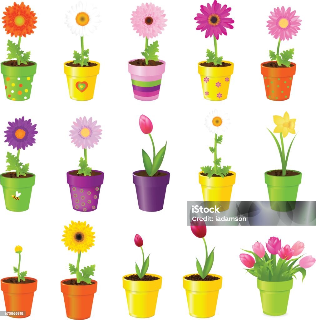 Flowers In Pots Spring Flowers In Pots, Isolated On White Background, Vector Illustration Beauty stock vector