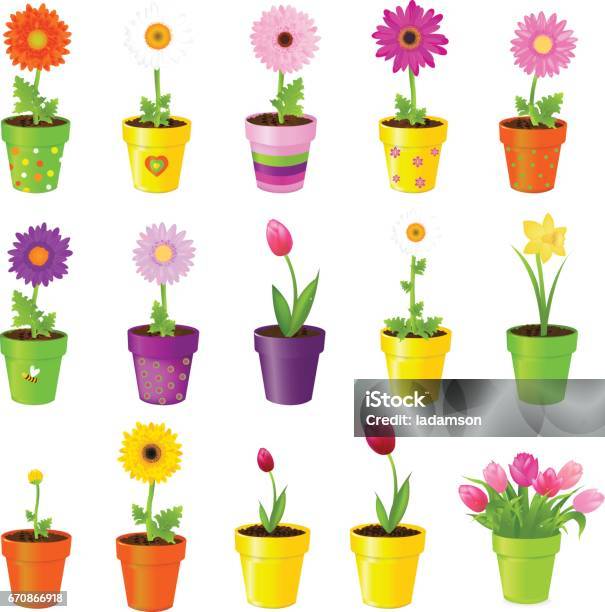 Flowers In Pots Stock Illustration - Download Image Now - Beauty, Bee, Blossom