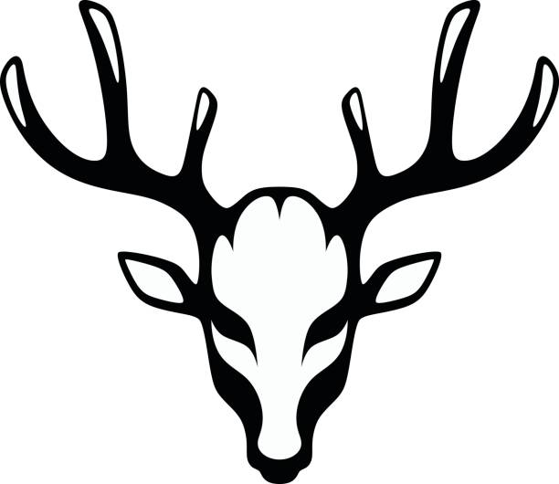 bildbanksillustrationer, clip art samt tecknat material och ikoner med huvud av en svart hjort - rådjur illustrationer
