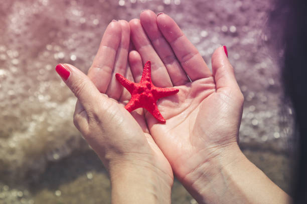 istock Female hands holding sea star. Summertime concept. 670880992
