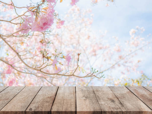 istock Wood table top and blurred flowers background with vintage filter 670881022