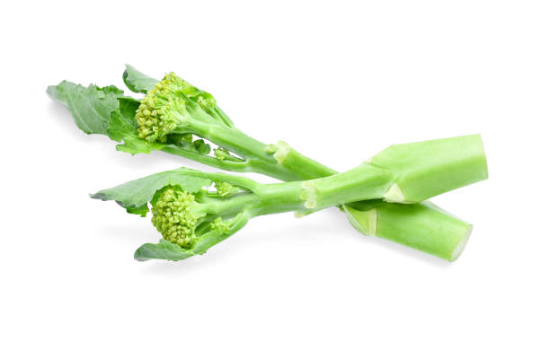 istock broccolini baby broccoli isolated on white background 670883184