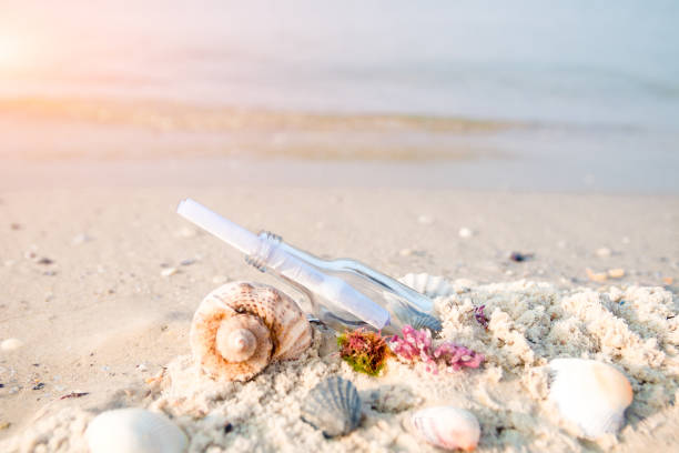 istock Bottle with a message or letter on the beach near seashell. SOS. Copy space. 670887028