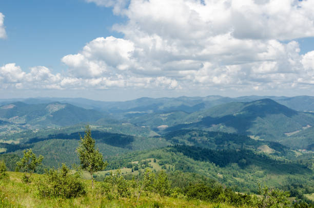 istock Carpathians. Ukrainian mountains. Summer landscape 670907462