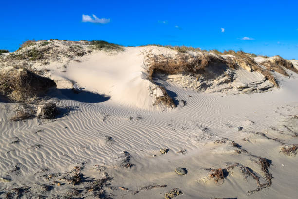 istock Djerba island Mediterranean seashore. Ras Rmel peninsula 670909476
