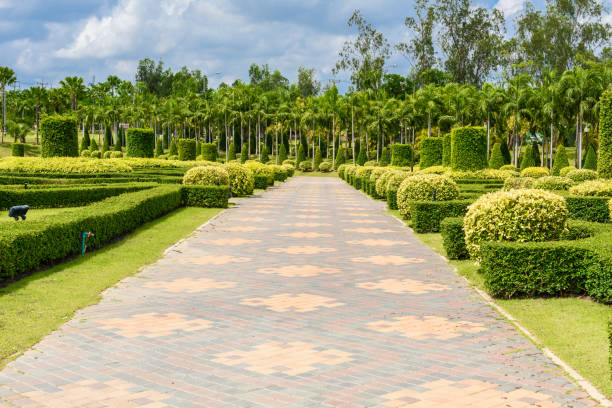 Gardening and walking arrangements