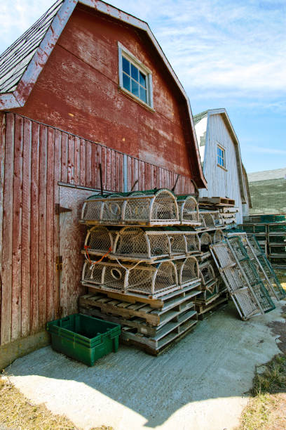 istock Lobster traps and fishing sheds 670931276