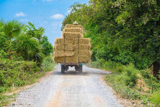 istock The car was carrying straw bales 670938054