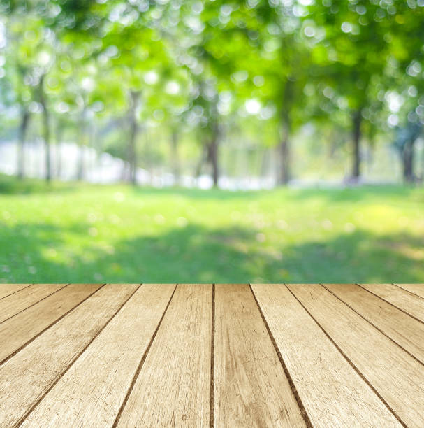 istock Perspective wood over blur trees with bokeh background, product display montage,  spring and summer season 670938336
