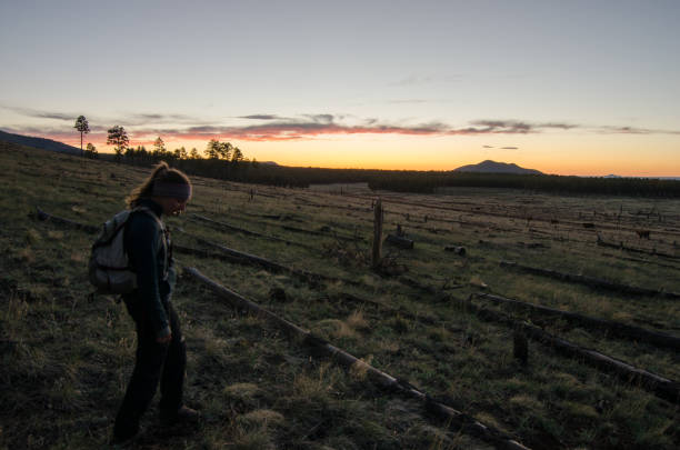 istock Hiking Northern Arizona's Nameless Mountains 670938642