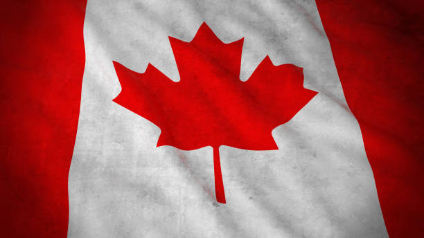 istock Grunge Flag of Canada - Dirty Canadian Flag 3D Illustration 670946372