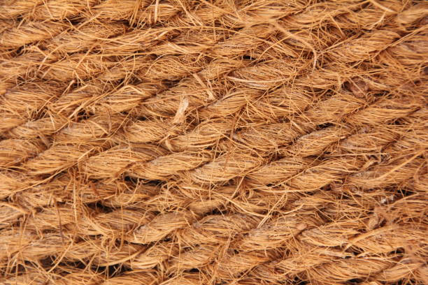 istock Coir, Natural cocos fibre ropes 670946940
