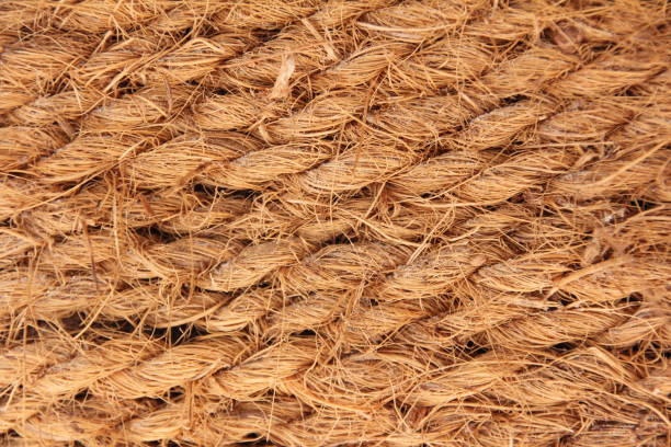 istock Coir, Natural cocos fibre ropes 670947086