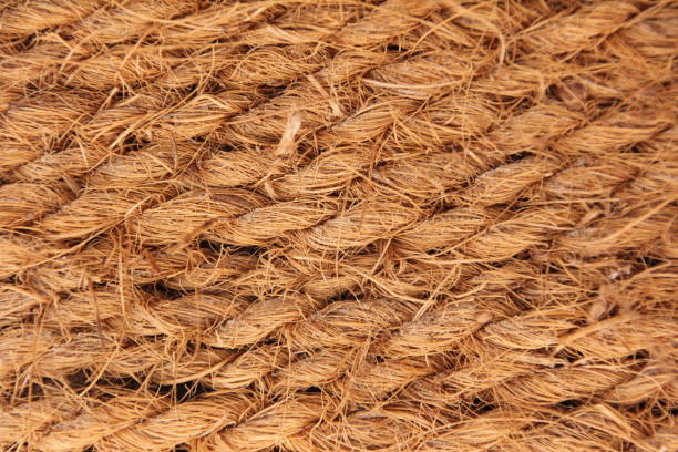 istock Coir, Natural cocos fibre ropes 670947280