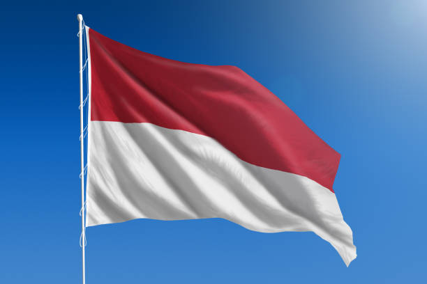 istock National flag of Monaco on clear blue sky 670950004