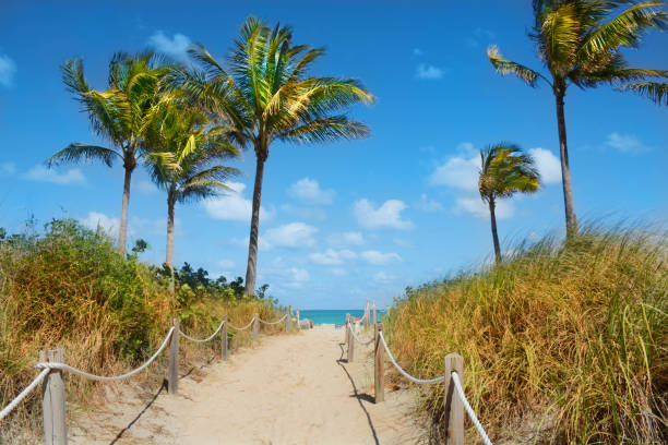 istock Beautiful beach landscape with palm trees. 670958038