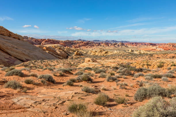 istock Valley of Fire Scenic Landscape 670963824