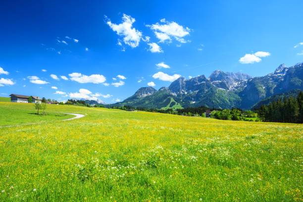 istock Alpen Landscape - Green field, Spring Meadow Blue Sky 670963988