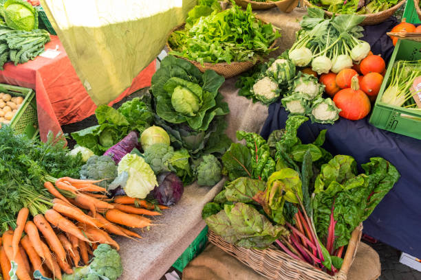 Different kinds of vegetables for sale