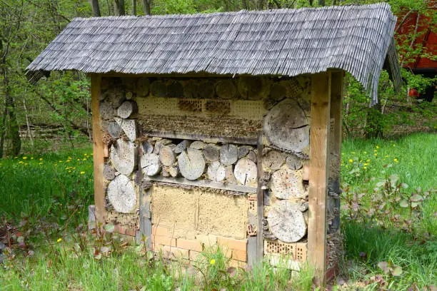 Insect hotel of wild solitary bees