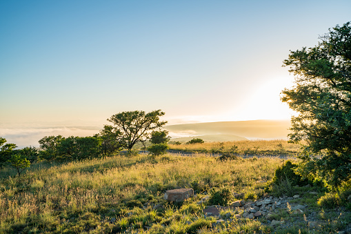 Beautiful view of the green hills of Mountain Zebra national park in South Africa at sunrise.