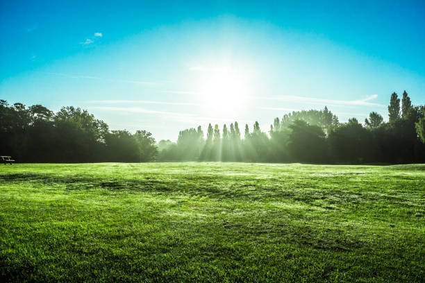istock Beautiful landscape park view 670987356
