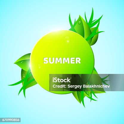 istock Black banner, sticker in the summer style. Fresh leaves and grass look out in the background. Drops of dew flow down the leaves. Ecological banner. Realistic illustration. EPS 10 670990856