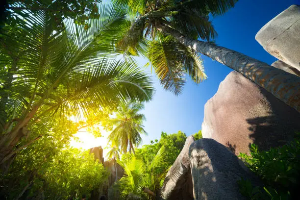 Photo of Granite boulders on Anse Source d'Argent on Seychelles