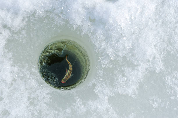istock Winter fishing 670991950