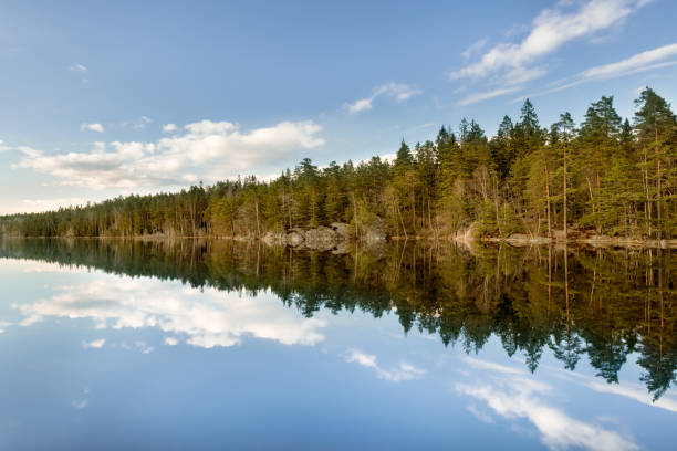 istock Evening light on forest trees by lake with perfect reflection in water at Tyresta National Park in Stockholm, Sweden 670992252