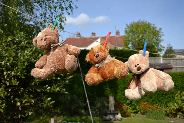 istock teddy bears hanging on a clothes line 670995492