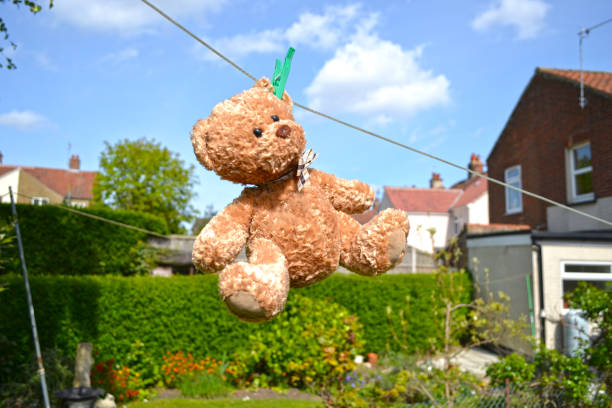 istock teddy bear hanging on a linenline 670995534