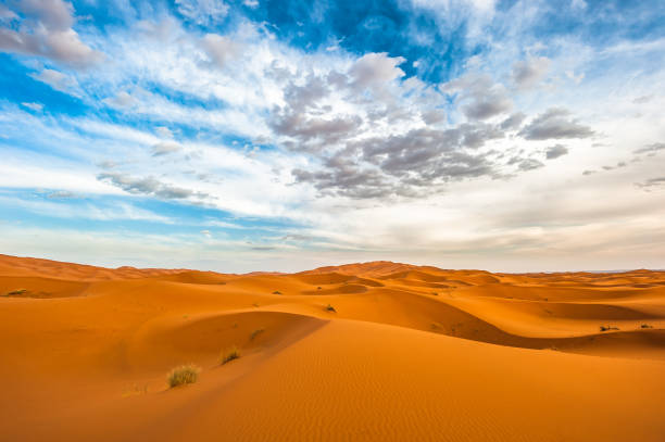 istock Sand dunes of Erg Chebbi, Morocco 670998730
