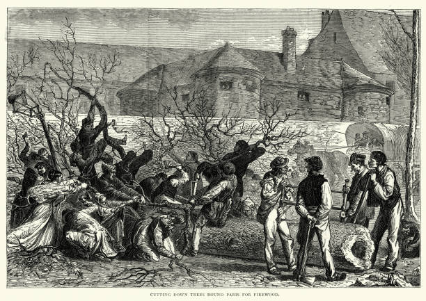 ilustrações, clipart, desenhos animados e ícones de guerra da prússia franco - cortar árvores em paris - siege of paris