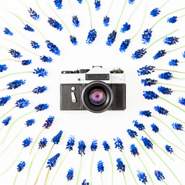 istock Vintage retro camera and blue spring flowers on white background. Flat lay. Top view. 671010066