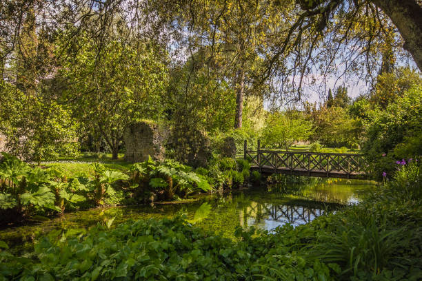 istock Ninfa garden in Italy 671011018
