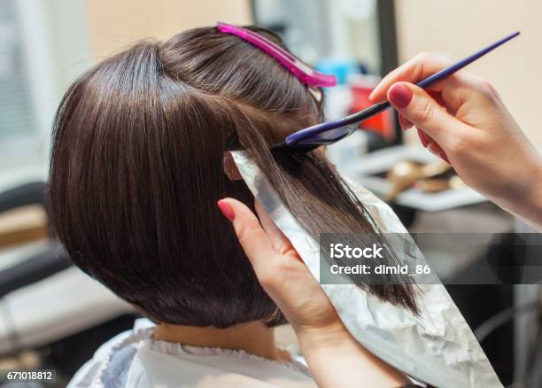 Hairdresser Paints The Womans Hair In A Dark Color Apply The Paint To Her Hair Stock Photo - Download Image Now